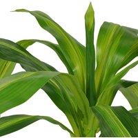 Berkfield Home Artificial Dracaena Plant with Pot 100 cm Green