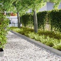 Berkfield Home Lawn Edgings 20 pcs 100x0.5x20 cm Galvanised Steel in Silver