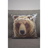 Rapport Home Big Bear Polyester Cushion Cover (43x43) Multicolor | Size: 43 cm x 43 cm
