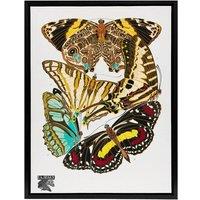 Artery8 Papillons Butterflies Vintage Framed Canvas Wall Art Print Eugene Seguy | Size: W12 x H16