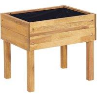 Berkfield Home Raised Garden Planter 50x40x45 cm Solid Acacia Wood in Brown | Size: 50 x 40 x 45 cm