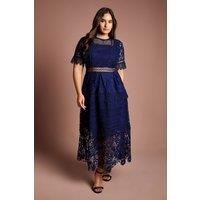Coast Women's Plus Short Sleeve Lace Midi Dress in Navy | Size: 18