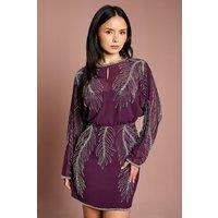 Coast Women's Petite Long Sleeve Placement Feather Embellished Mini Dress in Red | Size: 8