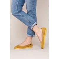 Moshulu Women's 'Banoffee 2' Ballerina Slippers in Yellow | Size: 7