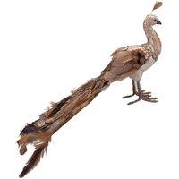 VFM e-Store Christmas Peacock Decoration 21cm x 14cm Gold X 1 | Size: 21 cm x 14 cm