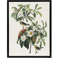 Artery8 Bachman's Warbler & Franklinia Tree Audubon Framed Canvas Wall Art in White | Size: W24 x H32