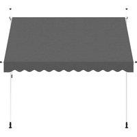 Berkfield Home Manual Retractable Awning 300 cm Anthracite in Dark Grey