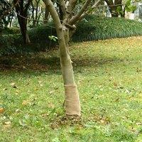 Berkfield Home Jute Roll 0.25x15 m 100% Jute 200 gsm in Tan