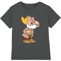 Snow White Girl's And The Seven Dwarfs, Sneezy T-Shirt Charcoal | Size: 12-13 Years