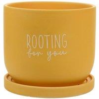 Country Living Ceramic Plant Pot - "Rooting For You" in Yellow
