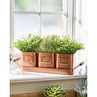 Dibor Set of 3 Antique Copper Metal Indoor Outdoor Garden Plant Pots on Tray (W) 43cm, (H) 12cm