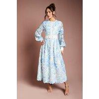 Coast Women's Printed Lace Blouson Sleeve Belted Midi Dress in Light Blue | Size: 12