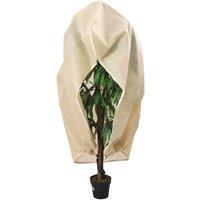 Berkfield Home Plant Fleece Covers with Zip 2 pcs 70 g/m 2.36x2 m in Beige