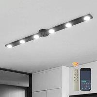 Garwarm 6 Light 120cm Dimmable LED Integrated Flush Mount in Black