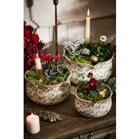 Dibor Set of 3 Vintage Irina Green Botanical Pot Flower Planters in Cream | Size: Large