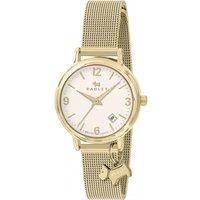 Radley Women's RY4638 27mm Quartz Watch in Gold