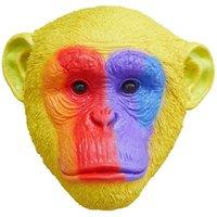 Gifts Direct 2 U Rainbow Monkey Head Wall Ornament