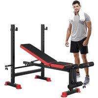 Dprodo Adjustable Weight Bench Set, 250KG Foldable Bench Press Set in Black
