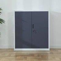 Havendro Metal Storage Cabinet - 2-Door, Locking, 106cm, Office/Garage