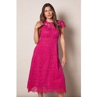 Wallis Women's Lace Fit & Flare Midi Dress in Pink | Size: 14