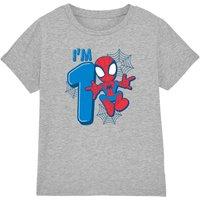 Spider Man Cute Spidey Birthday 1 Kids T-Shirt Light Grey | Size: 12-13 Years