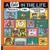 Mike Barfield A Day in the Life of Fossils, Fire & Other Fantastic Finds :