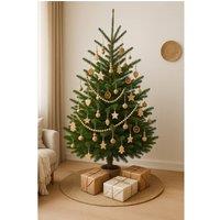 Clifton Premier Norway Spruce Christmas Tree - Fresh Cut - 1.5m - 1.75m (5 - 6ft) in Green