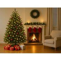 Clifton Premier Norway Spruce Christmas Tree - Fresh Cut - 1.5m - 1.75m (5 - 6ft) in Green