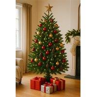 Clifton Premier Norway Spruce Christmas Tree - Fresh Cut - 1.25m - 1.5m (4 - 5ft) in Green