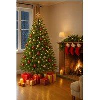 Clifton Premier Norway Spruce Xmas Tree - Fresh Cut - 1.75m - 2.0m (5.75 - 6.5ft) in Green