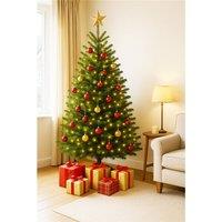 Clifton Premier Nordman Fir Xmas Tree - Low Needle Drop - 1.5 - 1.75m (5 - 6 ft) in Green