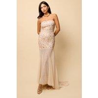 Little Mistress Women's Nude Mesh Train Embellished Maxi Dress | Size: 10