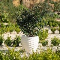 Primrose Plant Pot Round Bilbao Flower Pot Plastic Planter Ivory 34cm