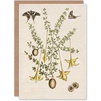Artery8 Catesby Art Card Frutex Spinofus Flowers & Butterflies in Beige