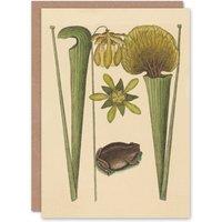 Artery8 Catesby Art Card Land Frog & Sarracenia Pitcher Plant in Beige