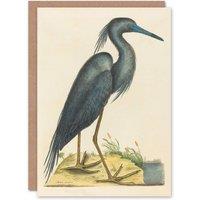 Artery8 Catesby Art Card Blue Heron Natural History Illustration in Beige