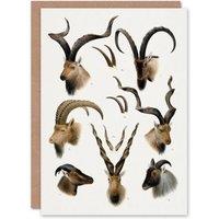 Artery8 Richard Lydekker Art Card Vintage Illustration Bovidae Animals in White