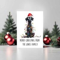 60 SECOND MAKEOVER Pack Of 5 Personalised Christmas Cards Labrador in White | Size: 5 Pack