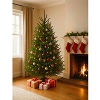 Clifton Premier Norway Spruce Xmas Tree - Fresh Cut - 1.75m - 2.0m (5.75 - 6.5ft) in Green