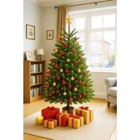 Clifton Premier Nordman Fir Xmas Tree- Low Needle Drop -1.75 - 2.0m (5.75 - 6.5ft) in Green