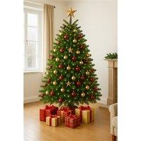 Clifton Premier Nordman Fir Xmas Tree - Low Needle Drop - 2.0 - 2.5m (6.5 - 8 ft) in Green