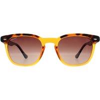 Polar Men's Rectangle Shiny Crystal Honey Havana Brown ized 362