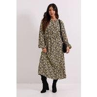 Dorothy Perkins Women's Petite Black Daisy Frill Waist Blouson Sleeve Midi Dress in Floral | Size: 16