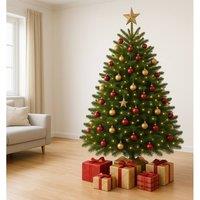 Clifton Premier Nordman Fir Xmas Tree- Low Needle Drop -1.75 - 2.0m (5.75 - 6.5ft) in Green
