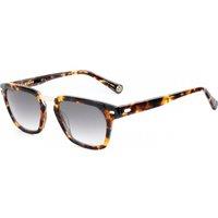 Belstaff COOPER-S192 Square/Rectangle Sunglasses in Brown