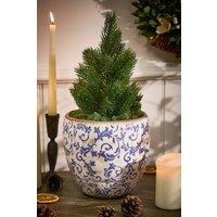 Dibor Vintage Solene Blue Botanical Flower Planter H17 x Dia. 18.5cm in Cream | Size: Large