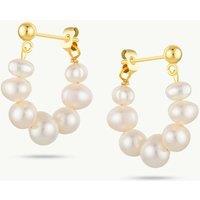 Arctic Fox & Co. Women's Laguna Pearls Links Hooped Earrings in Gold | Size: Medium