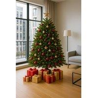 Clifton Premier Nordman Fir Xmas Tree -Low Needle Drop- 1.25m to 1.5m (4-5ft) in Green