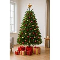 Clifton Premier Nordman Fir Xmas Tree -Low Needle Drop- 1.25m to 1.5m(4-5ft) in Green