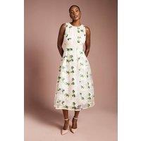 Coast Women's Embroidered Mesh Lace Trim Full Skirted Midi Dress in Blush | Size: 8